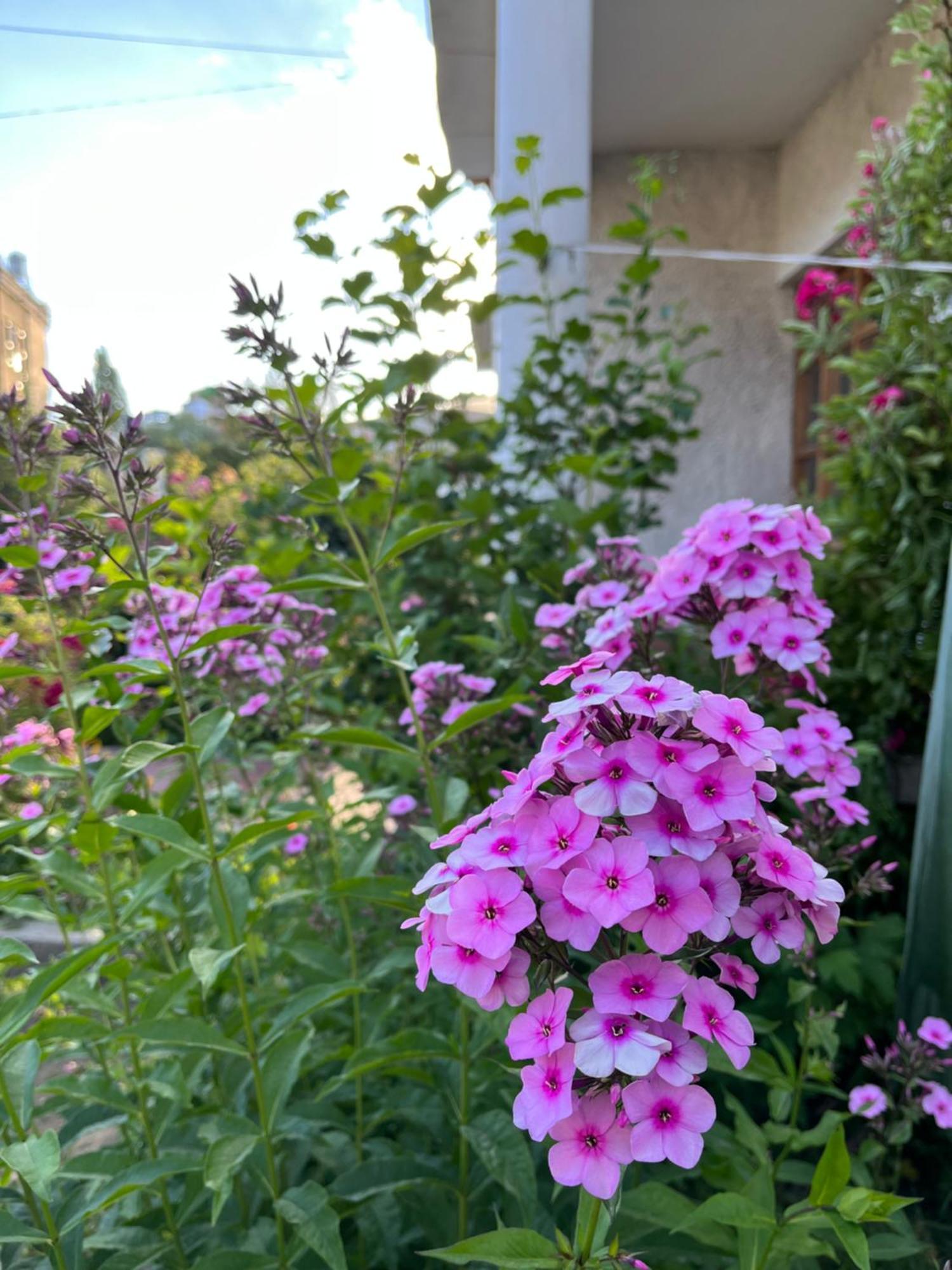 Chakzot Garden House Ξενοδοχείο Λεχ Εξωτερικό φωτογραφία